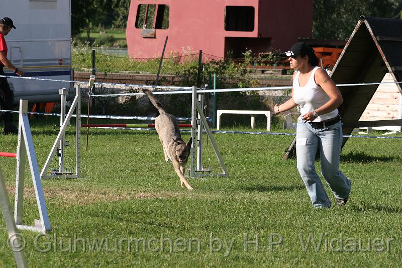 gluehwuermchen08 094 (158).jpg